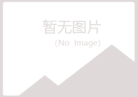 大安初夏建设有限公司